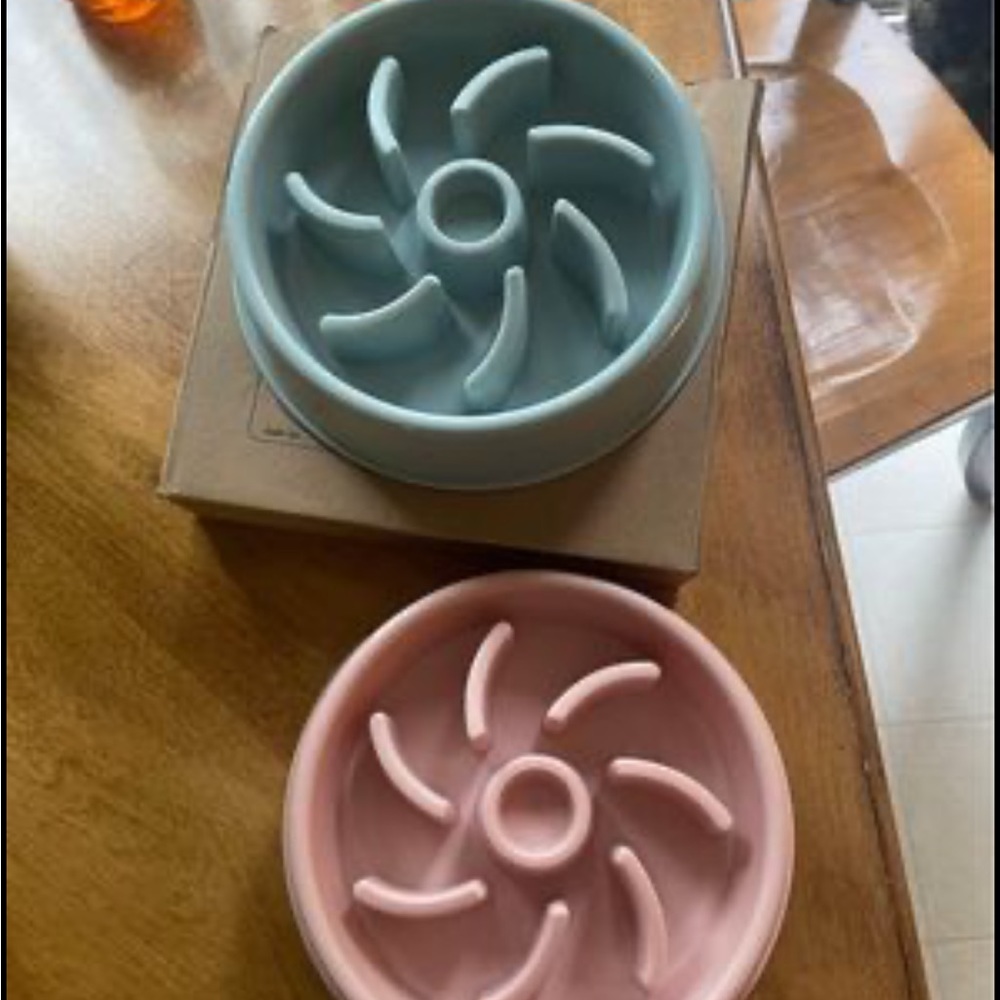 2 SLOW FEEDER PET BOWLS